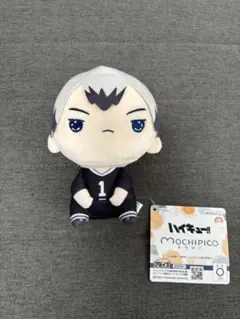 ハイキュー!! もちぴこぬいぐるみ 北信介
