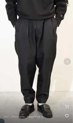 Dickies×中津川吾郎　5601 Two Pleated Pants MNのサムネイル