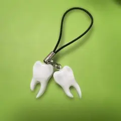 歯　レジンチャーム