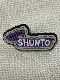 HelloMyBESTY シリコンピンズ シュント