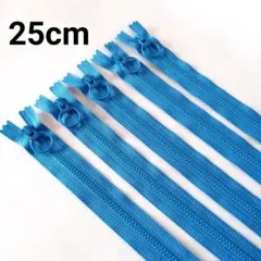 Item thumbnail for item 09d654fb-f36d-42a7-afb0-65cafd3ba46e