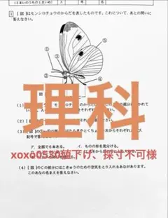 xoxo0530値下げ、採寸不可様