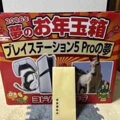 2026 夢のお年玉 PS5 Proの夢 福袋 未開封 保証書在中