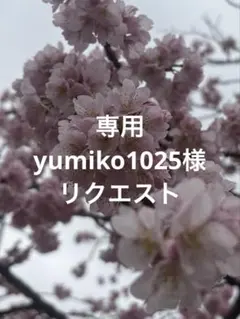 yumiko1025様 リクエスト 2点 まとめ商品