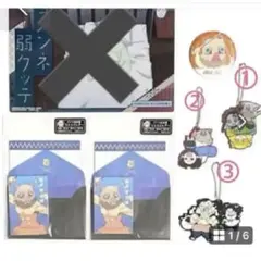 鬼滅の刃　⑨ 嘴平伊之助　ミニレターラバーホルダーミニレター 缶バッジ