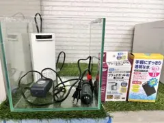 2026年最新】レグナスの人気アイテム - メルカリ