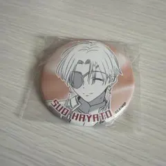 ウィンブレ　蘇枋 東京タワー　RED° TOKYO TOWER 缶バッジ