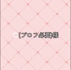 ♡(プロフ必要)様専用ページ
