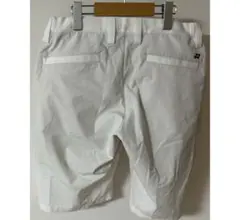 Item thumbnail for item 4effda4e-6cfa-440e-bf18-129b87f07f2e