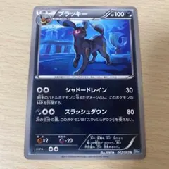 ポケモン ブラッキー シャドードレインのサムネイル