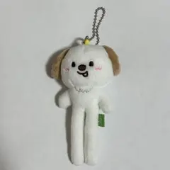 2026年最新】riize アントン ぬいぐるみの人気アイテム - メルカリ