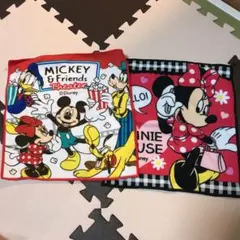 ディズニー タオル 2枚セット