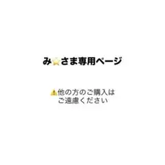み⭐️さま専用