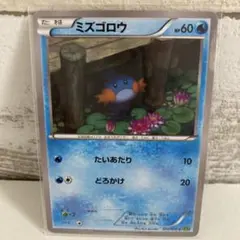 ポケモンカード ミズゴロウ C XY5 タイダルストーム 012/070 - メルカリ