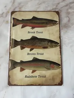 Item thumbnail for item fe5b3123-28a3-4125-a4b6-2cf16512fcf1