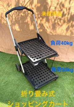 Item thumbnail for item 55e184a5-b891-4a52-aaac-515bfdeaba0b