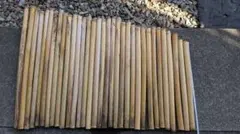 2026年最新】女竹の人気アイテム - メルカリ