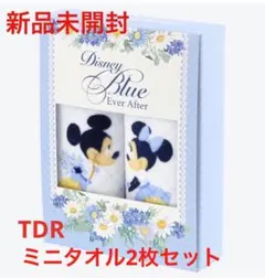 新品未開封★東京ディズニーリゾート ミッキーミニー ミニタオル2枚セット