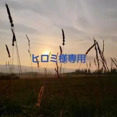 ヒロミ様専用ページ