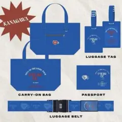 TREASURE プレミアムシート アプグレ特典 横浜　Kアリ　青　ブルー