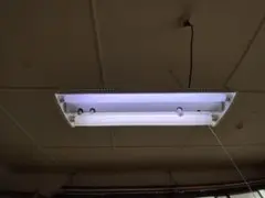 メルカリ