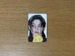 Stray Kids スキズ KARMA SKZOO トレカ フィリックス