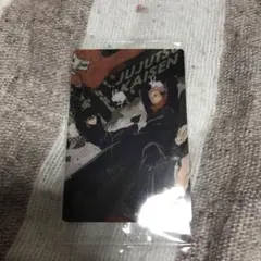 呪術廻戦 ウエハース 6 虎杖 悠仁 伏黒恵 鵺 脱兎 ノーマル