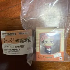 呪術廻戦　るかっぷ　ミニチュアコレクション　虎杖悠仁