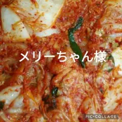 メリーちゃん様専用です。