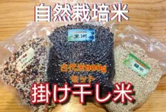 R7年 自然栽培米 掛け干し黒米ミックス&ブレンド&緑米ミックスセット900g