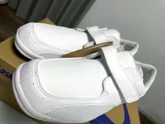 Item thumbnail for item 1f79c744-fa5d-4f62-9ffc-02b263e0ed99