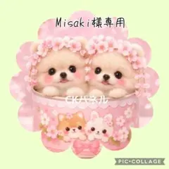 【1月】Misaki様専用