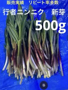 行者ニンニク スーパーフード 新芽のサムネイル