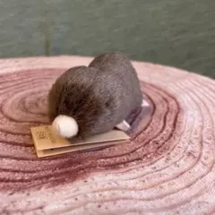 2026年最新】ヒミズモグラの人気アイテム - メルカリ