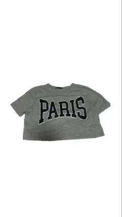 ZARA グレーTシャツM（短丈）