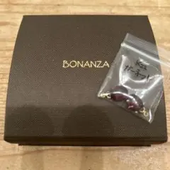 2026年最新】bonanza ピアスの人気アイテム - メルカリ