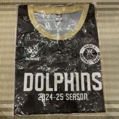 名古屋ダイヤモンドドルフィンズ Tシャツ XO