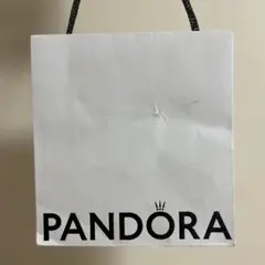 PANDORA ショップ袋 ショッパー 紙袋のサムネイル