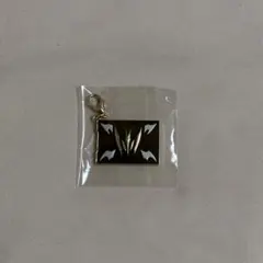 仮面ライダー龍騎 カードデッキメタルチャームコレクション 仮面ライダーナイト