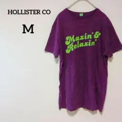 Hollister Co. 【M】半袖 ロゴ入り プリント Tシャツ パープル