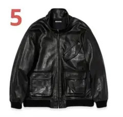 Item thumbnail for item 3ce37568-8c3f-4d6a-a567-24f9df0d82f1