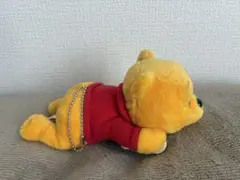 肩のせクマのプーさん　ディズニーランド