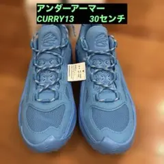 新品 未使用 CURRY13 30cm 希少 Capri 419 バッシュのサムネイル