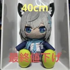 ちょこぷに おおきな40cmぬいぐるみ シロコ Amazon.co.jp: ブルーアーカイブ Blue Archive シロコ ちょこぷに