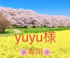 yuyu様専用❣️ ⭐️特別出品⭐️スワロ廃盤・特注含レア♡#8721豪華8色セット他