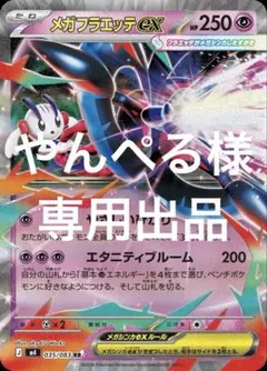 やんぺる様 リクエスト まとめ商品