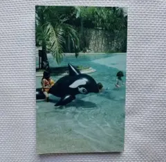 ホンマタカシ 写真集 / PUT ME IN THE WATER 写真集