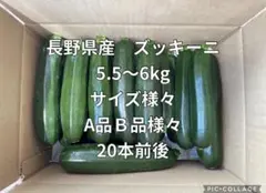 長野県産　ズッキーニ 5.5キロ〜6キロ (A〜B品)のサムネイル