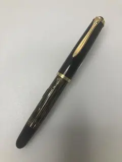 セーラー万年筆 フレンドシップペン DKY-N1-1G 代官山 蔦屋書店モデル