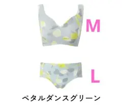 【新品】DRMETHOD ZEROISM シームレスブラＭ＆ショーツＬセットのサムネイル
